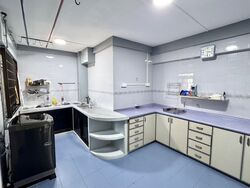 Blk 286 Bishan Street 24 (Bishan), HDB 4 Rooms #602968641